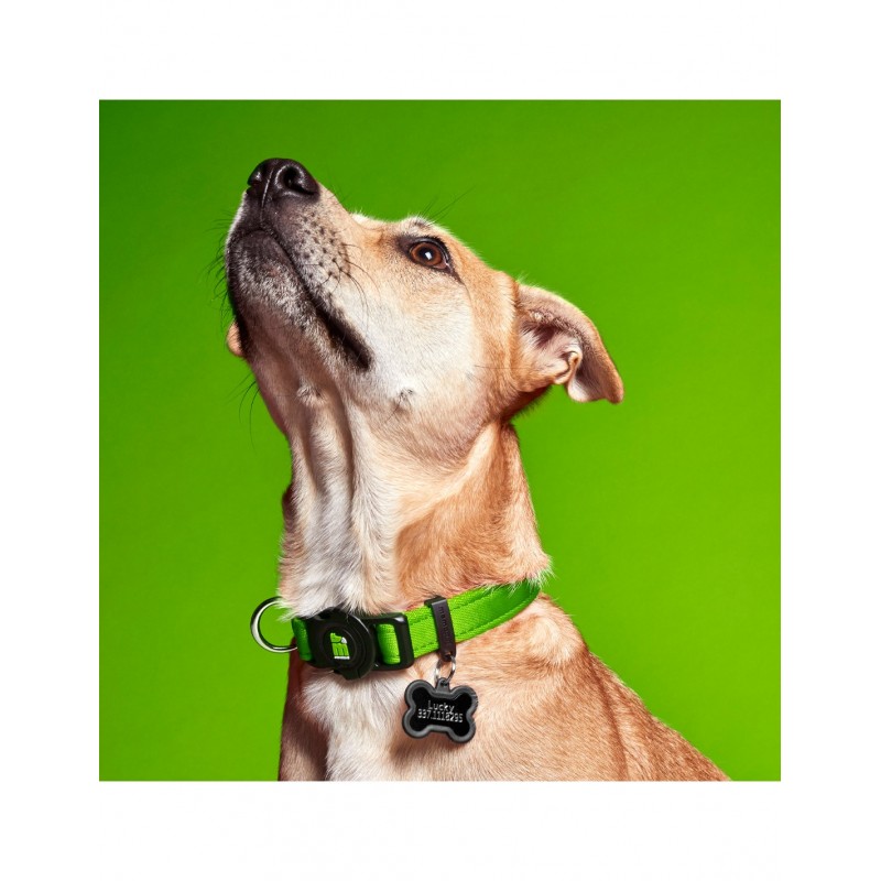 Collar Memopet NFC Verde - Imagen 2