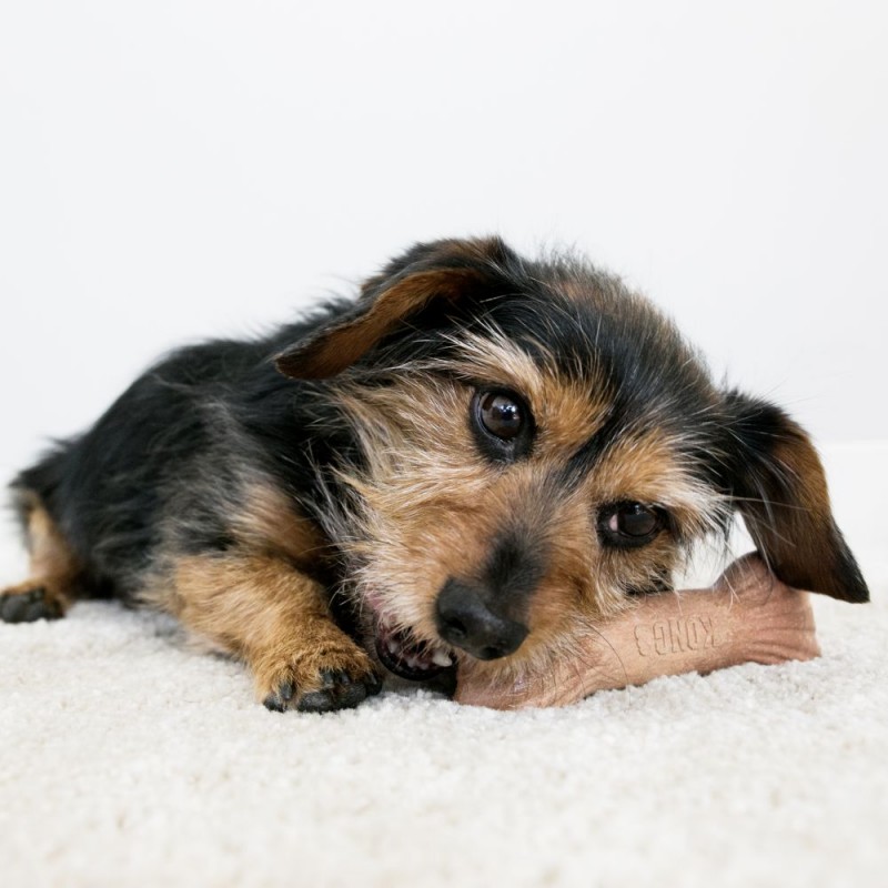 Kong ChewStix Bone - Imagen 3