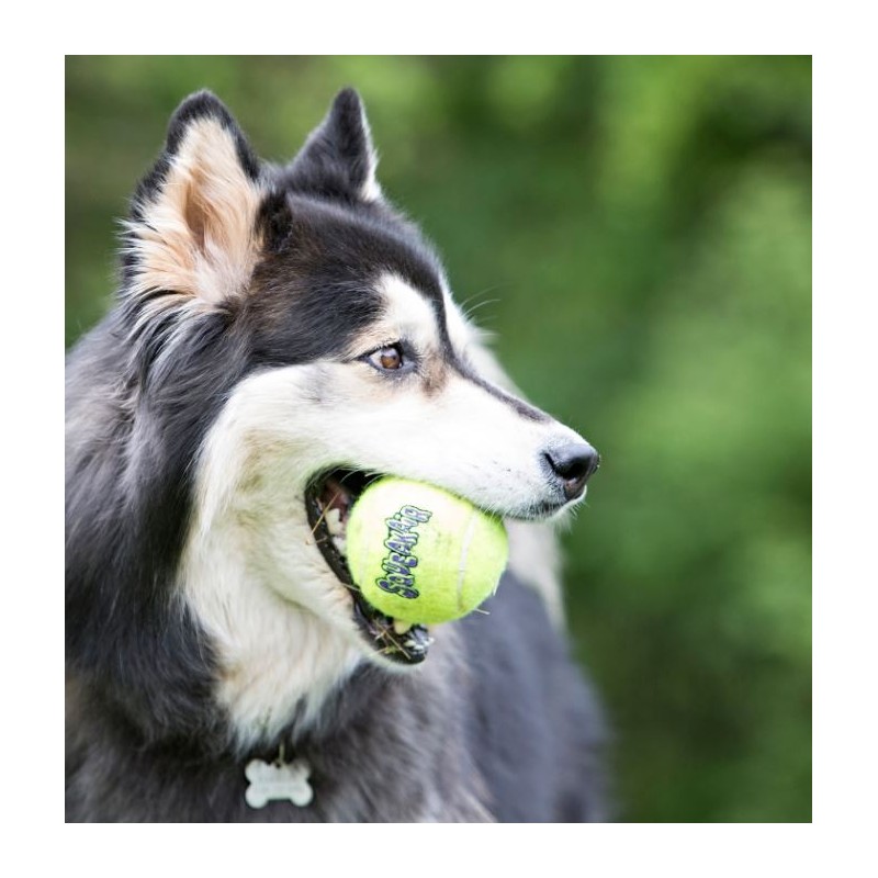 Kong Squeakair Balls - Imagen 2