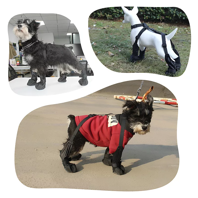 Botas impermeables con tirantes para perro - Imagen 5