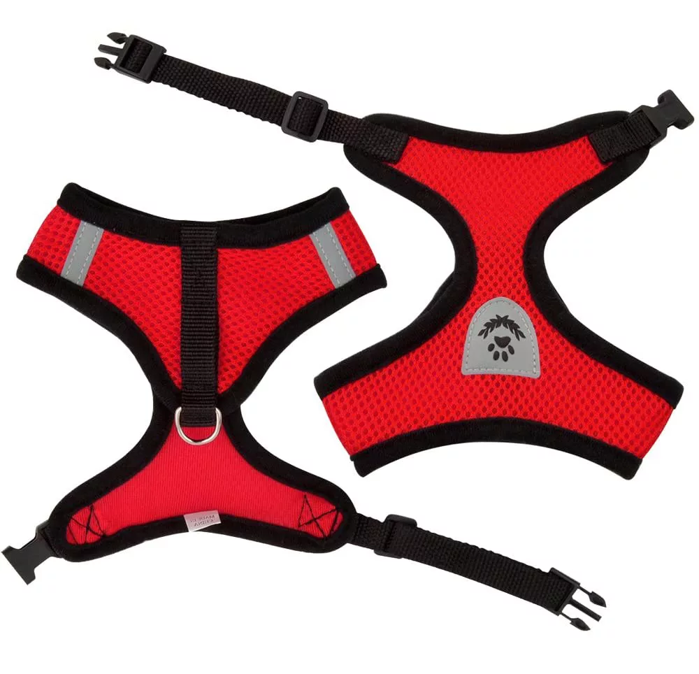 Arnés Transpirable con Correa para Cachorros y Perros Pequeños - Imagen 2