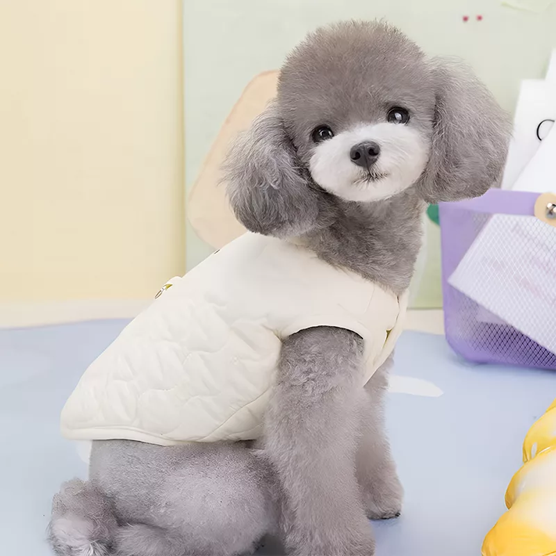 Chaqueta de Invierno para Perros Chaleco Abrigador