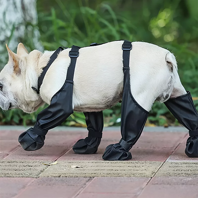 Botas impermeables con tirantes para perro - Imagen 4