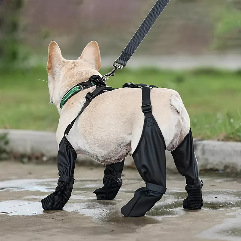 Botas impermeables con tirantes para perro - Imagen 2