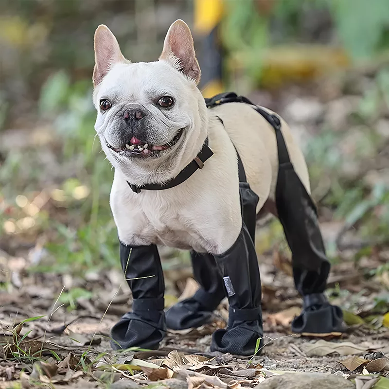 Botas impermeables con tirantes para perro - Imagen 3