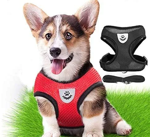 Arnés Transpirable con Correa para Cachorros y Perros Pequeños