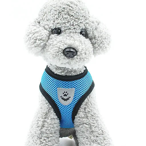 Arnés Transpirable con Correa para Cachorros y Perros Pequeños - Imagen 7