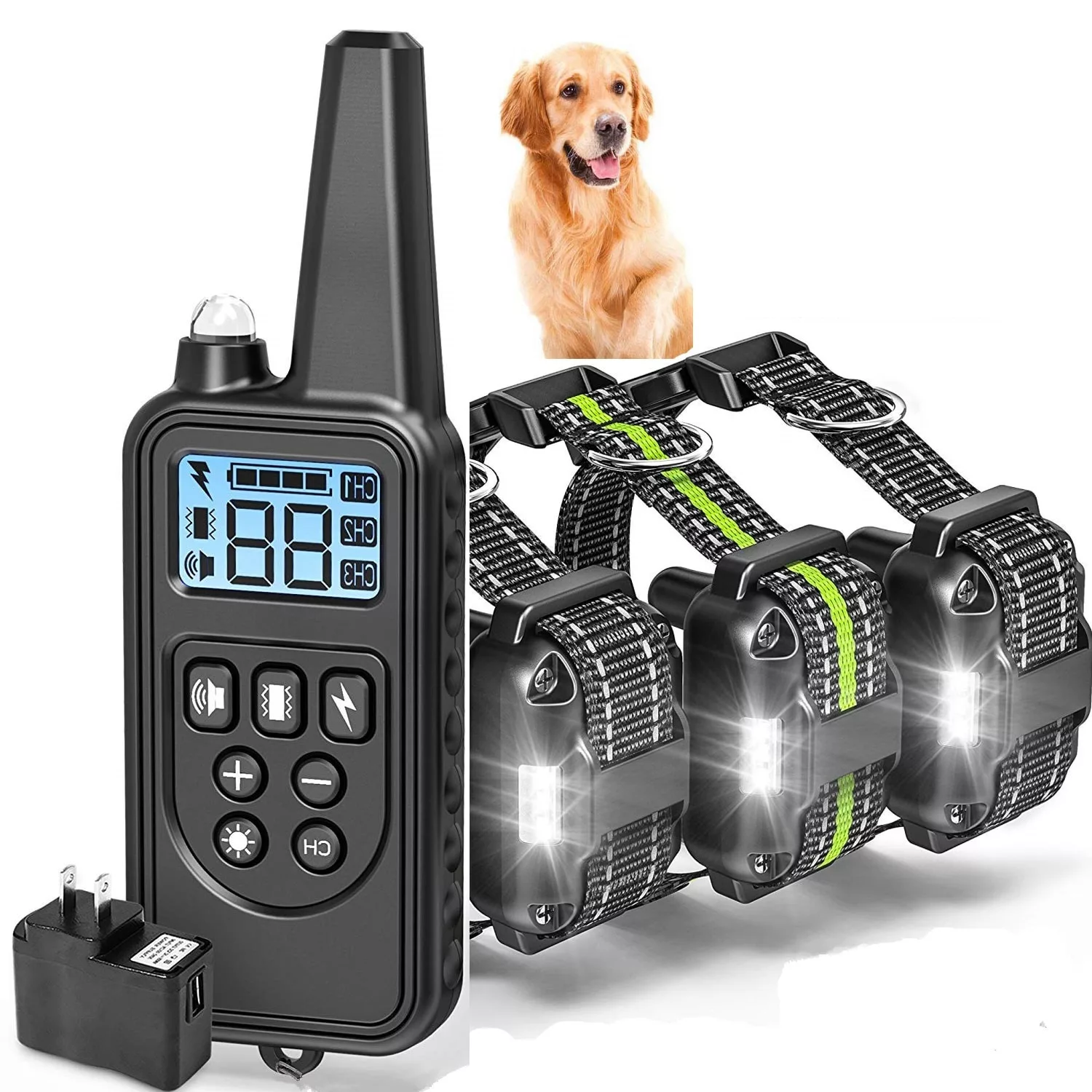 Collar de Entrenamiento para Perros de Caza