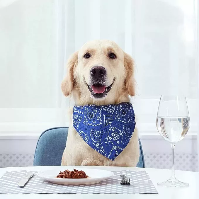 Collar Bandana para Perros con Cuello Ajustable - Imagen 2