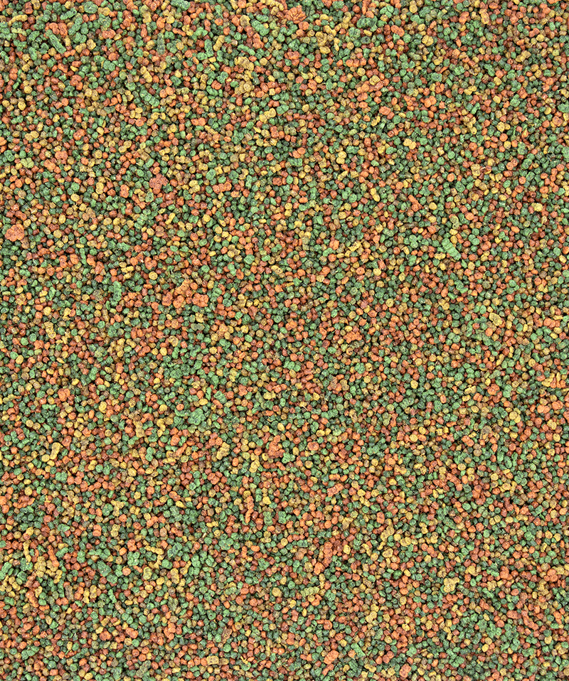 Versele-Laga Nutribird C-19 cría 3 Kg. - Imagen 2