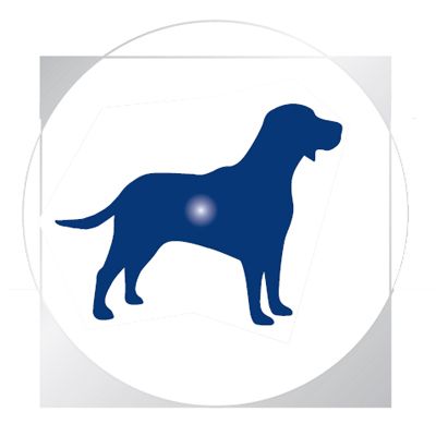 Royal Canin Veterinary Hypoallergenic - Imagen 3