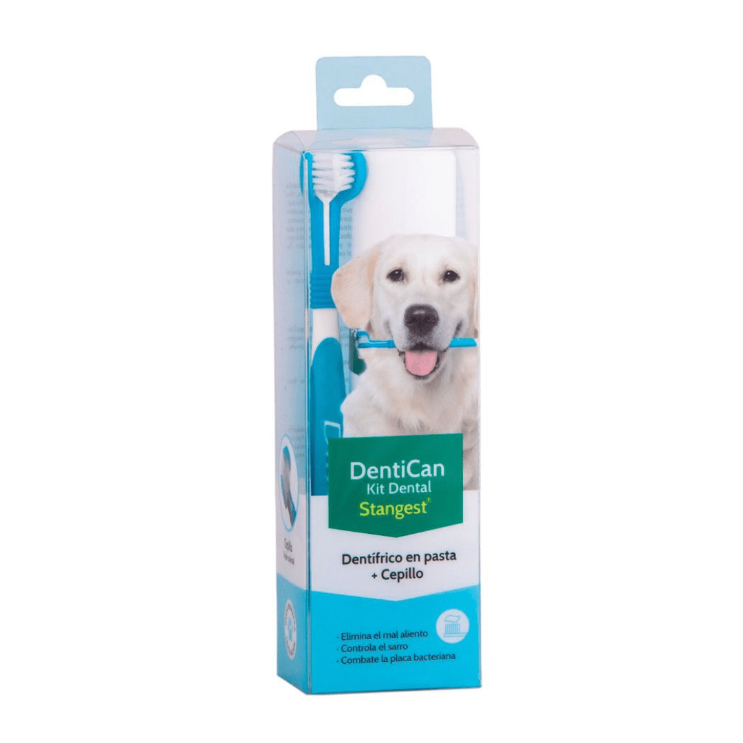 Dentican Kit Dental Cepillo Pasta De Dientes 100ml