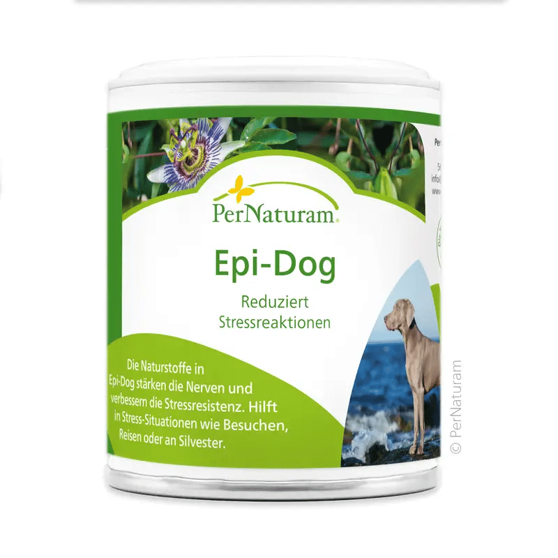 Ginkgo y ginseng para perros