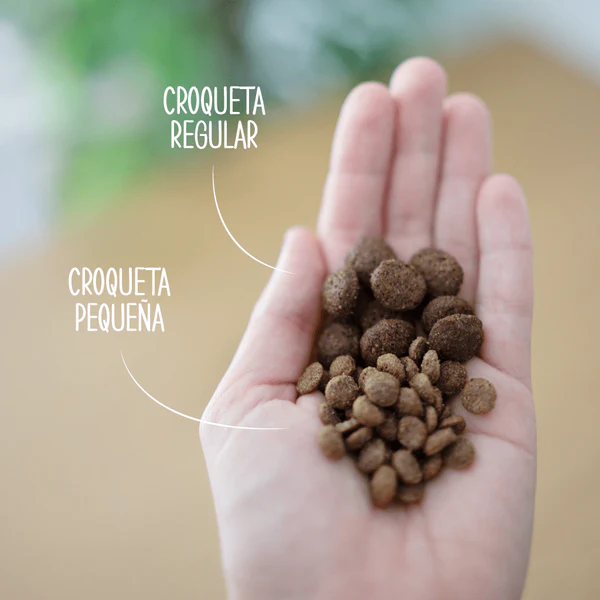 Retorn Pienso para Perro Adulto con Salmón - Imagen 2