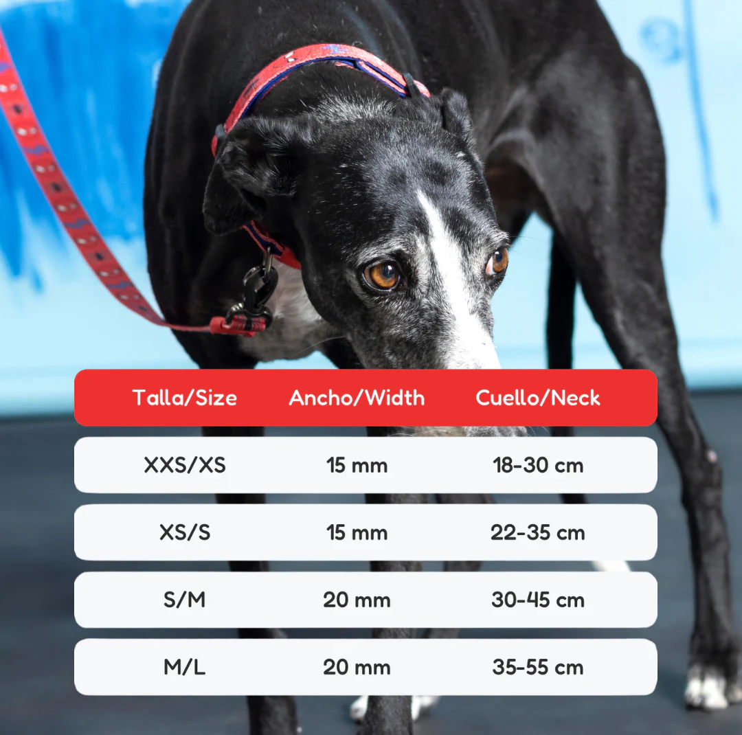 Pack Arnés, Collar y Correa - Spiderman - Imagen 3