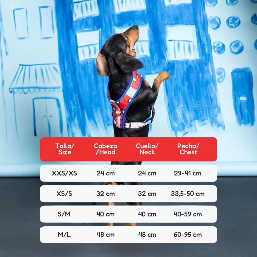 Pack Arnés, Collar y Correa - Spiderman - Imagen 2