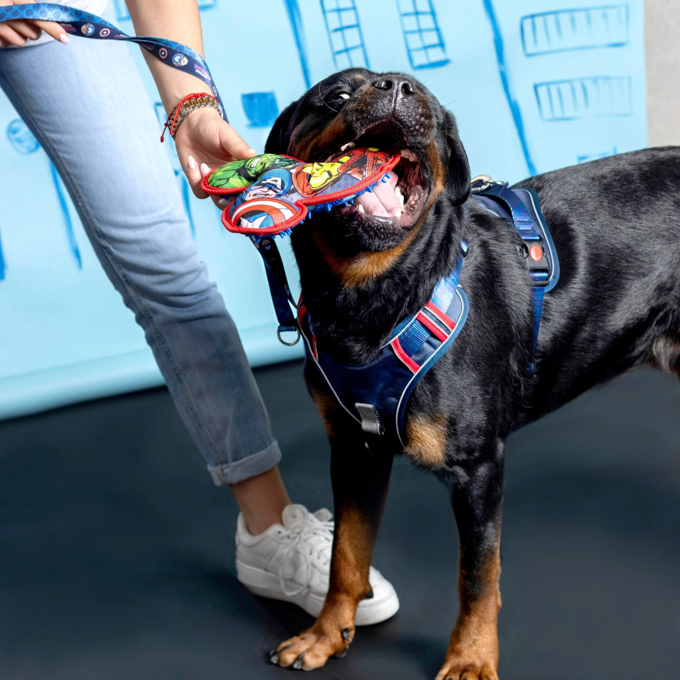 Mordedor TPR para perros - Marvel - Imagen 2