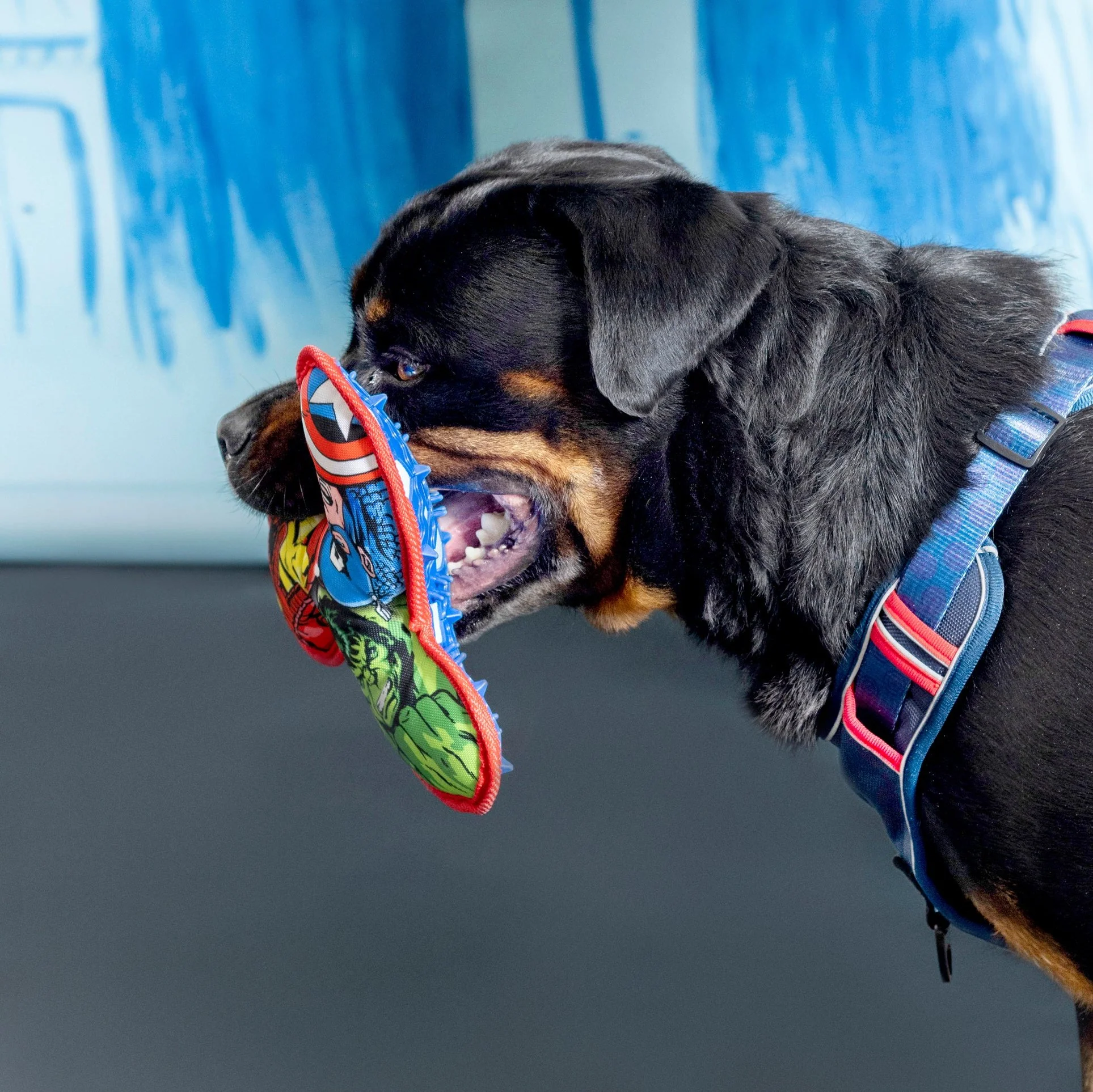 Mordedor TPR para perros - Marvel - Imagen 4