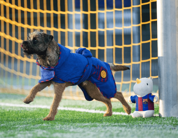 Albornoz FC Barcelona para perros - Imagen 3