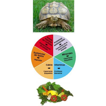 Sera Raffy Baby-Gran 100 ml. - Imagen 4