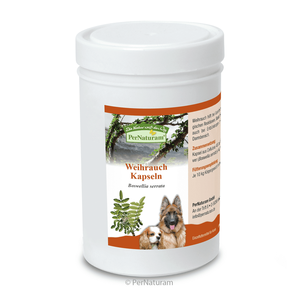 Antiinflamatorio con boswelia | 50 cápsulas