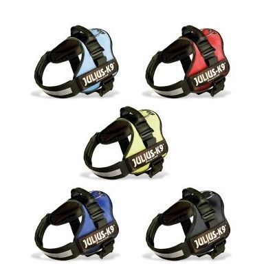 Arnés Power de Julius K9 -Talla Baby1