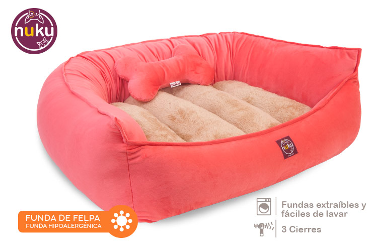 Capella Salmon - Imagen 3