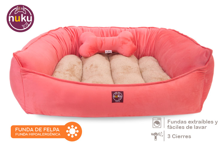 Capella Salmon - Imagen 2