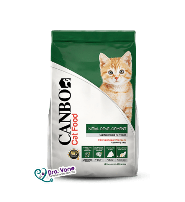 Canbo Gatitos Desarrollo Inicial / Initial Development