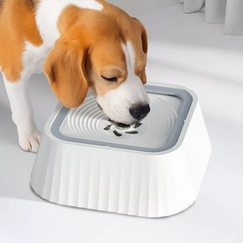 Fuente de agua para perros con placa flotante