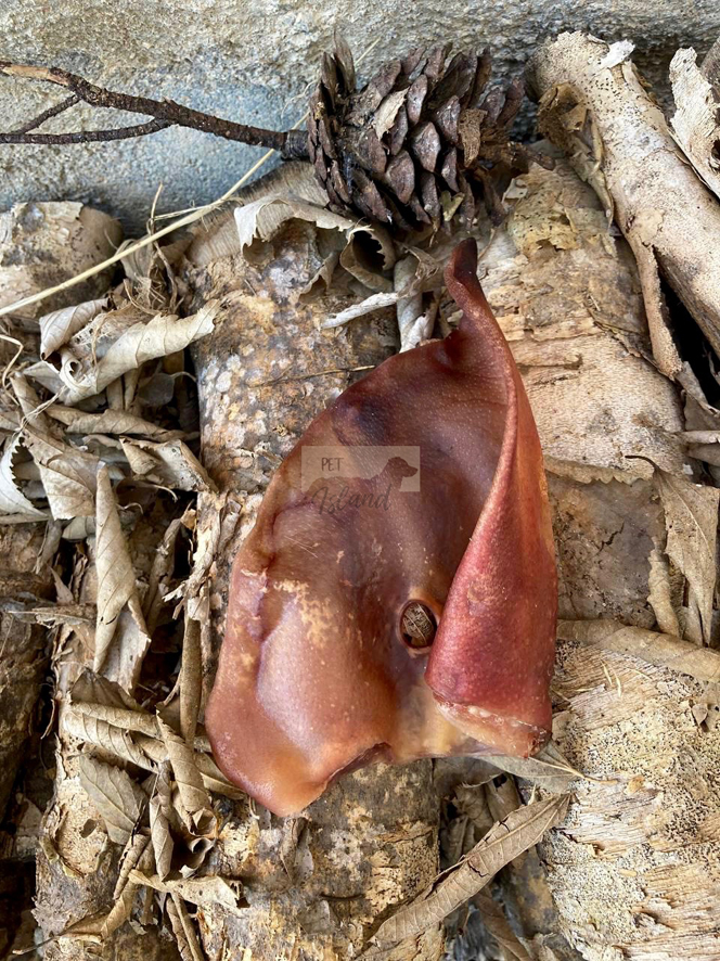 Pack de orejas de cerdo ibérico - Imagen 2