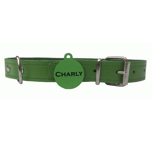 Collar Piel Claro Verde + Placa Unicolor Verde – personalizados con nombre y teléfono.