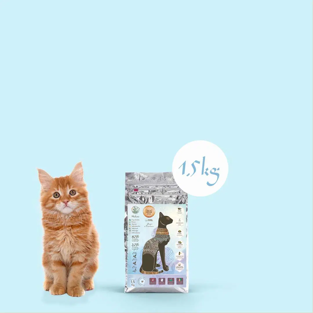 10% DTO / Pack Complet Gatos 3×1,5 kg - Imagen 5