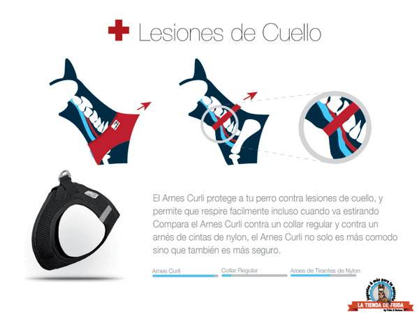 Arnés Curli Air Mesh para perros pequeños y medianos - Imagen 6