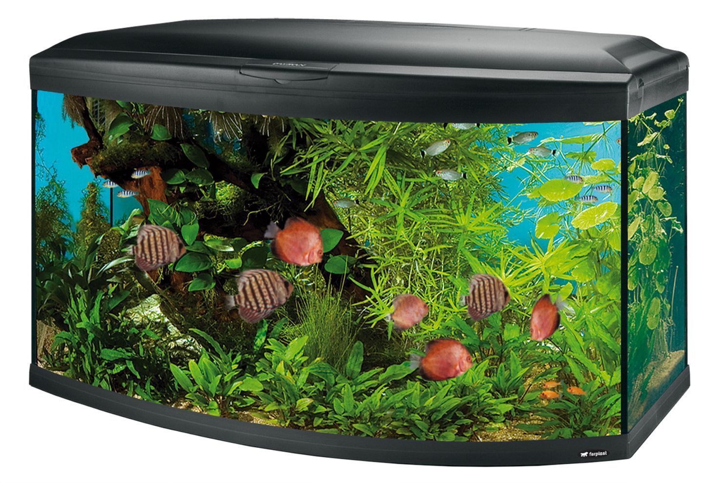 Ferplast Acuario Cayman 110 scenic