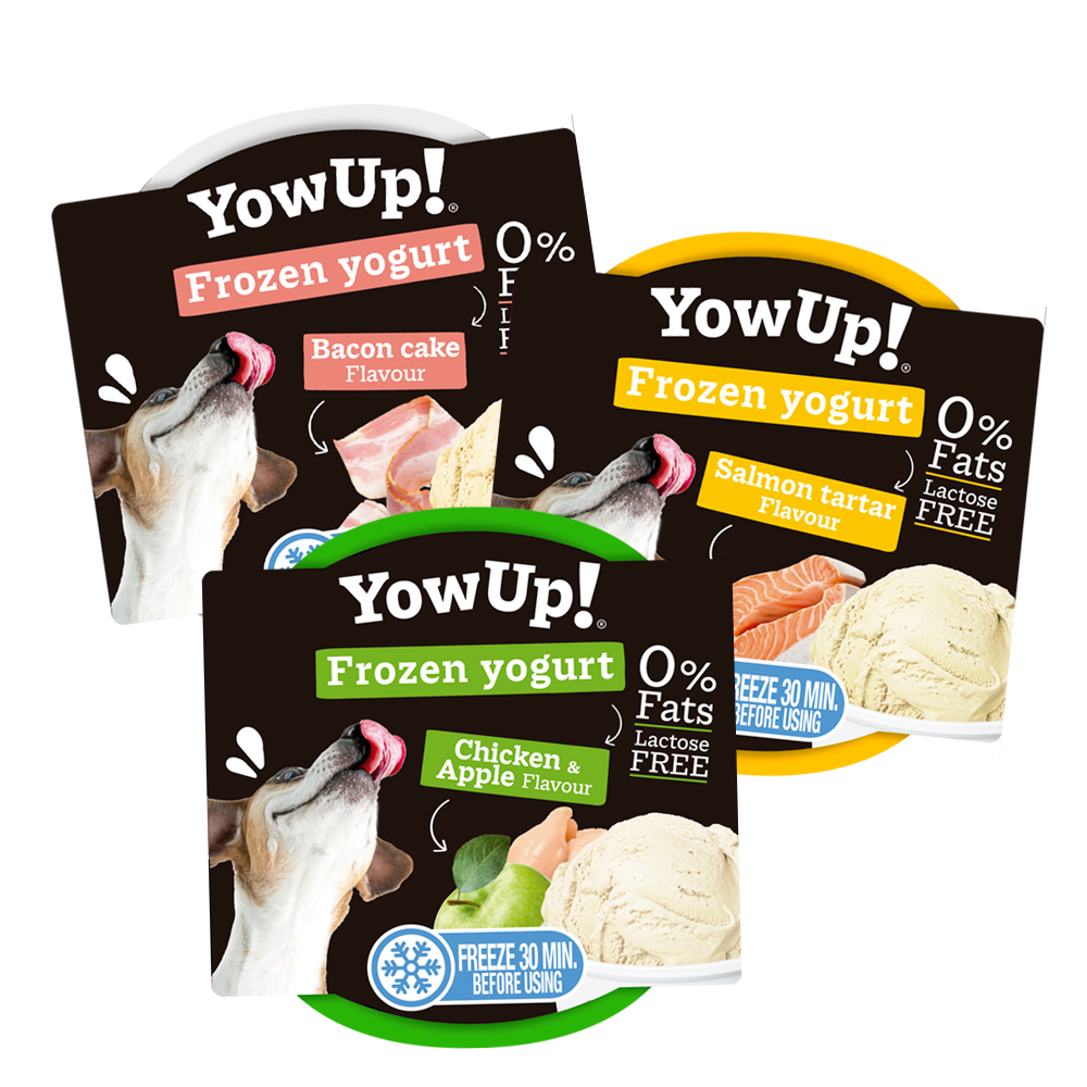 Yogur helado de pollo y manzana 🐶 - Imagen 2