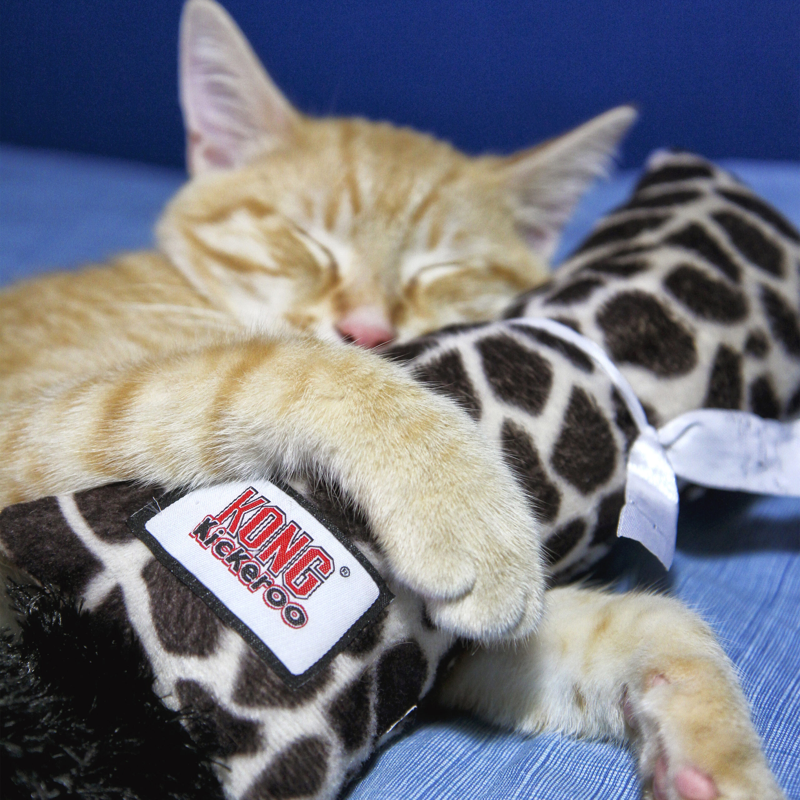 KONG Kickeroo juguete con catnip para gatos - Imagen 2