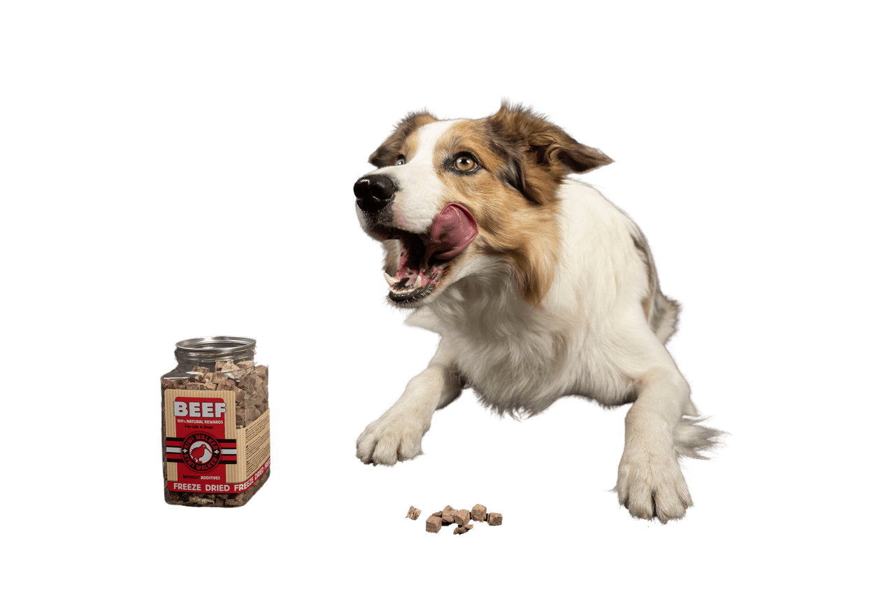 Snack Kiwi Pollo, Calabaza y Espinacas – para perros y gatos - Imagen 7