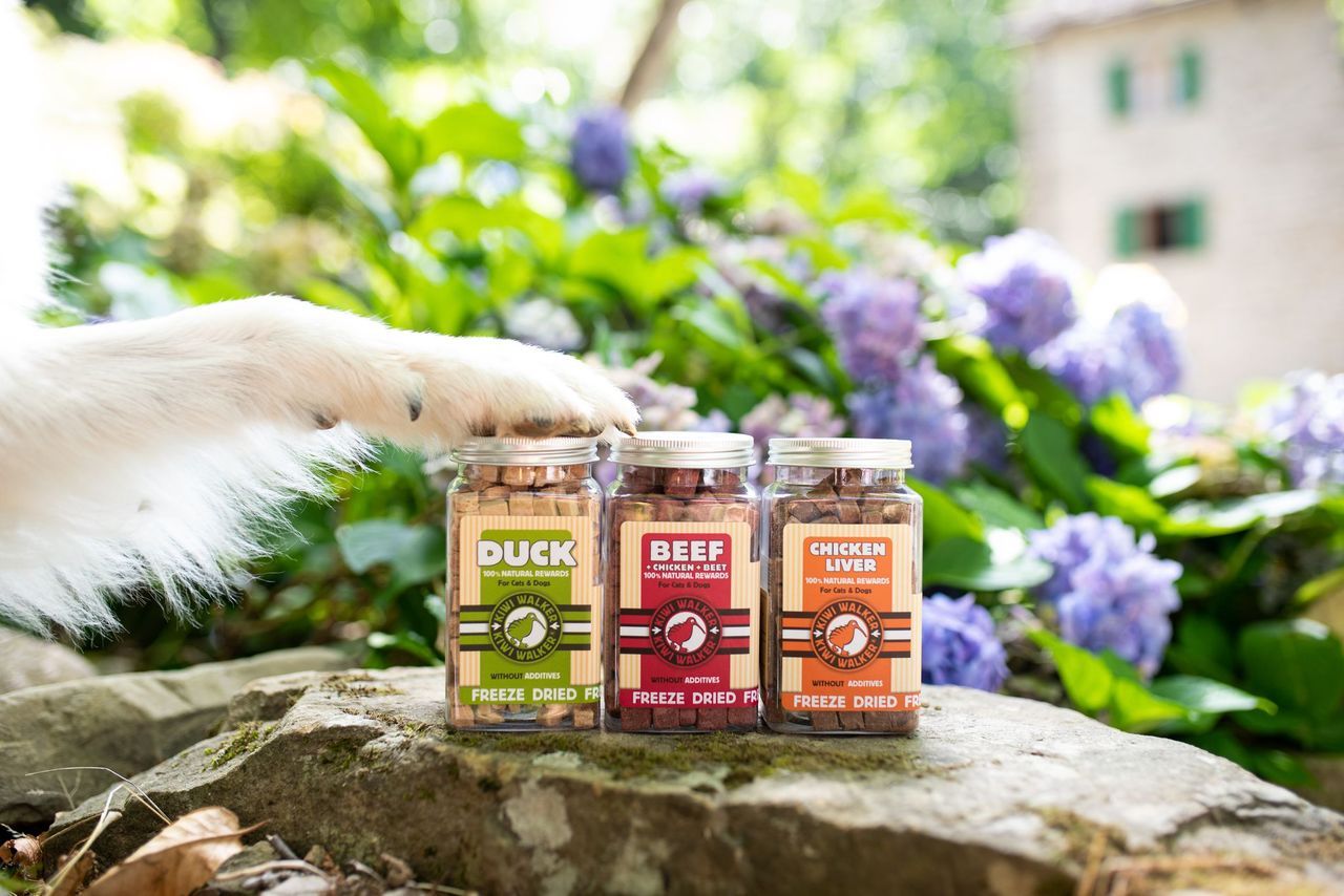 Snack Kiwi Pollo, Calabaza y Espinacas – para perros y gatos - Imagen 6