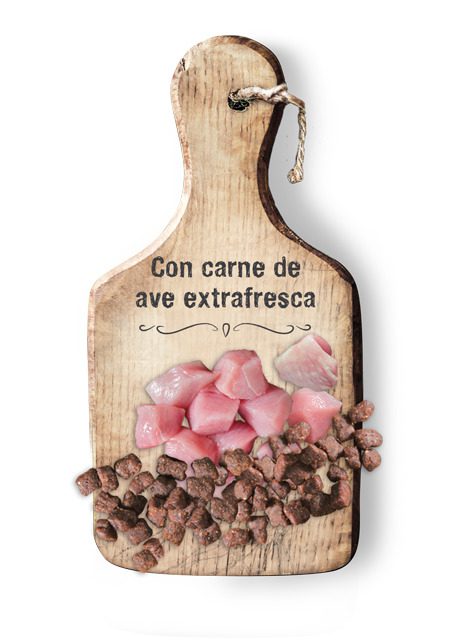 Leonardo Kitten - Imagen 2