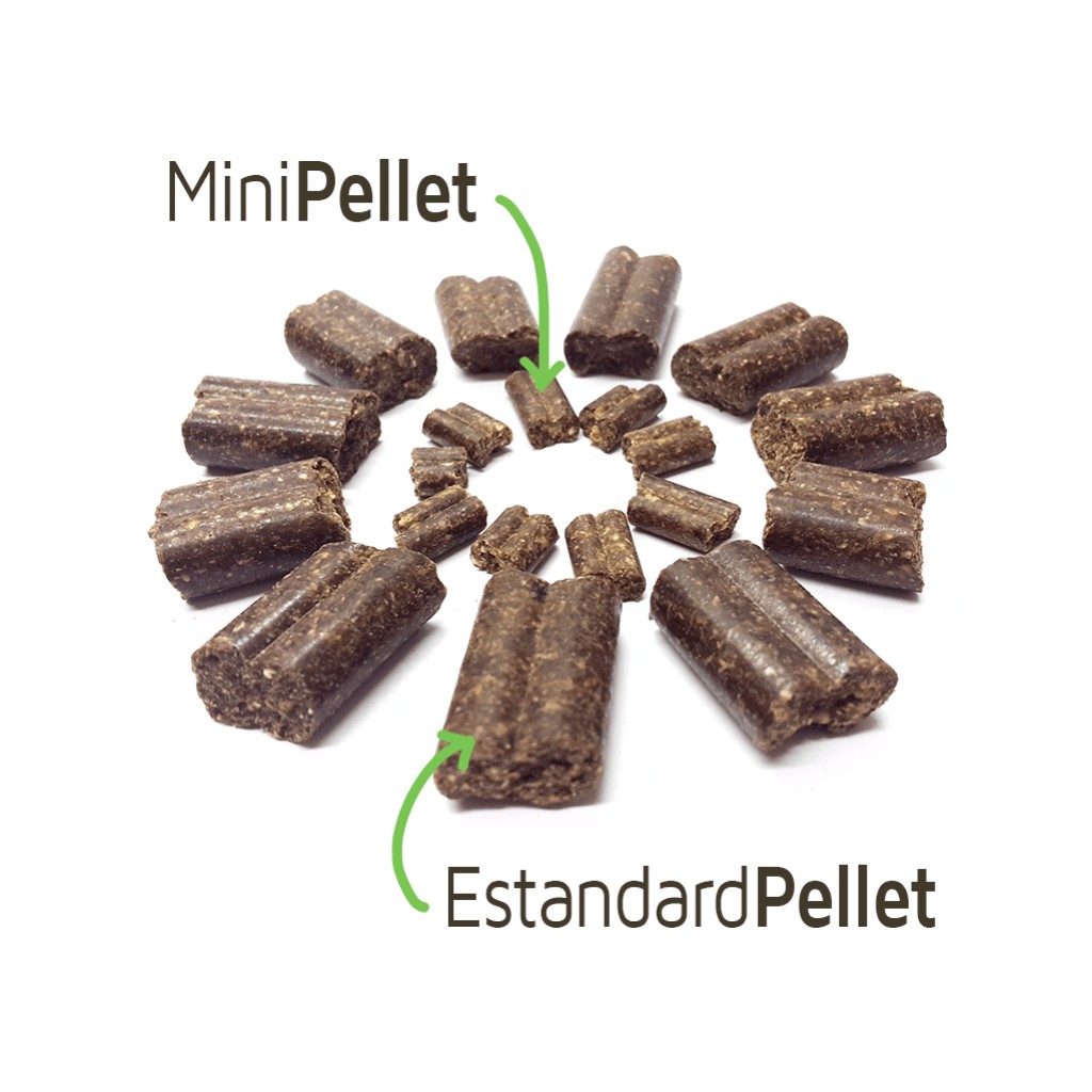 Acticell – Markus Mülhle - Imagen 2