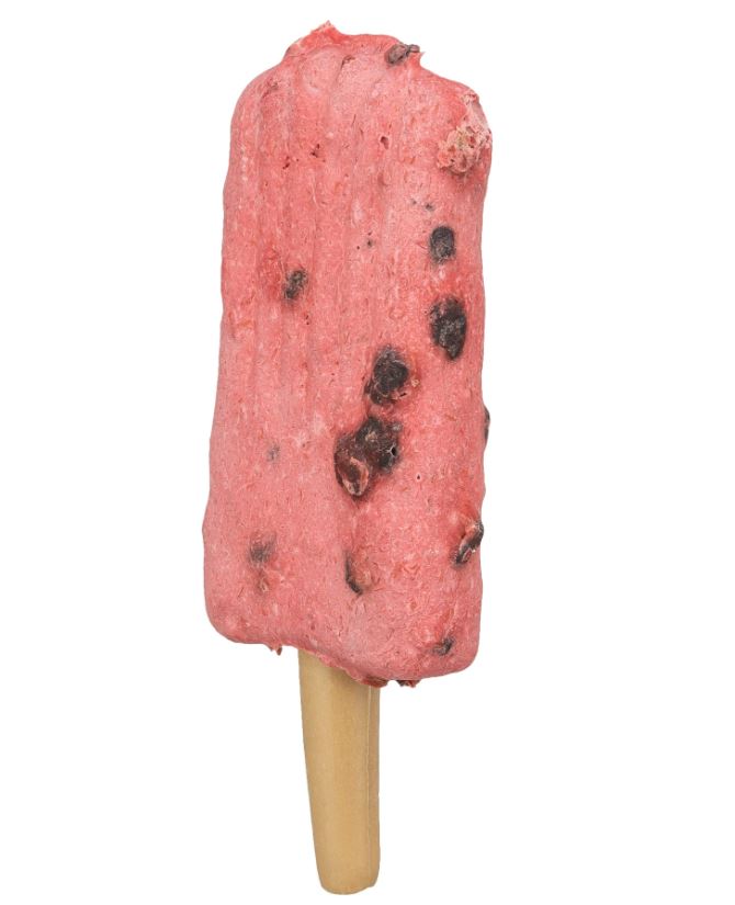 Trixie Polo Helado Rojo