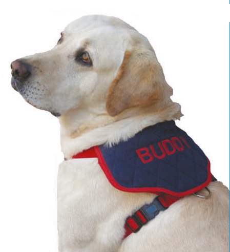 Arnes Perro con Cubre-Arnes Azul (2 en 1) - Imagen 2