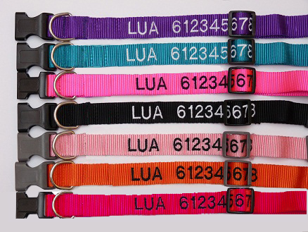 Collar Nylon Mediano para perro (M) – personalizados con nombre y teléfono. Varios colores* - Imagen 2