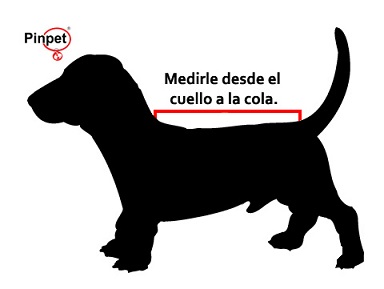 Abrigo para perro de Lana Azul – personalizados con nombre. - Imagen 3