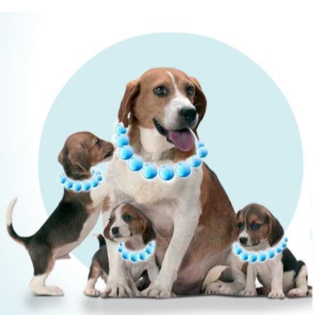 Advance Mother Dog & Baby Dog – 3kg - Imagen 4