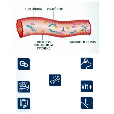 Advance Mother Dog & Baby Dog – 3kg - Imagen 7