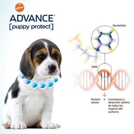 Advance Mother Dog & Baby Dog – 3kg - Imagen 6