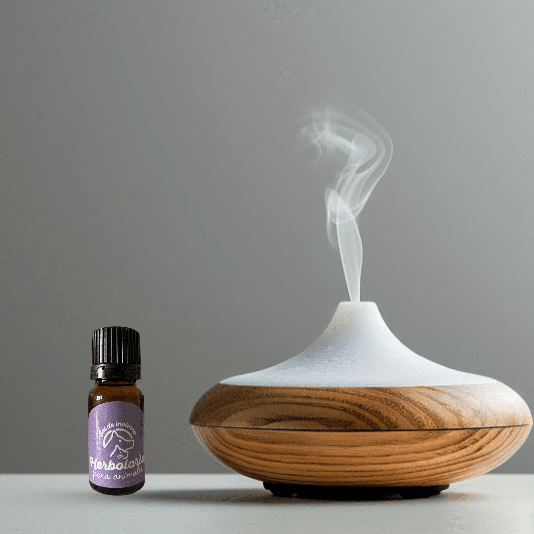 Fórmula de aceites esenciales para ronquidos de perros - Imagen 2