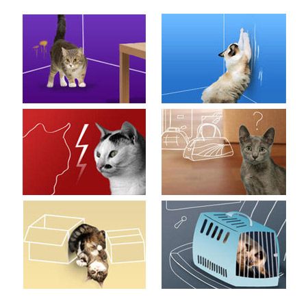 Feliway Classic recambio 48ml pack 3 recargas - Imagen 3